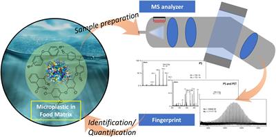 Mass spectrometry-based multimodal approaches for the identification and quantification analysis of microplastics in food matrix